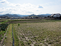 【写真21】無辺光院跡推定地から撮影した日根野