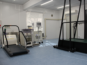 呼吸代謝測定装置（左）とフォースプレート型トレッドミル（右）
