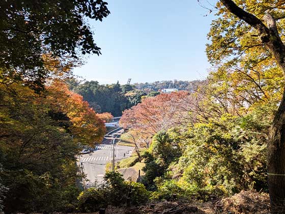 裏山