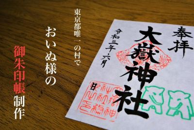 商学部 中央大学 商学部 中央大学