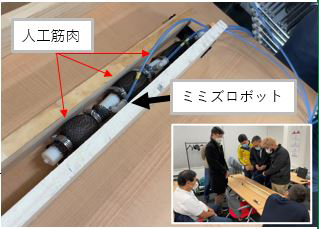 C．人工筋肉で動くミミズ型ロボットを作って動かしてみよう！