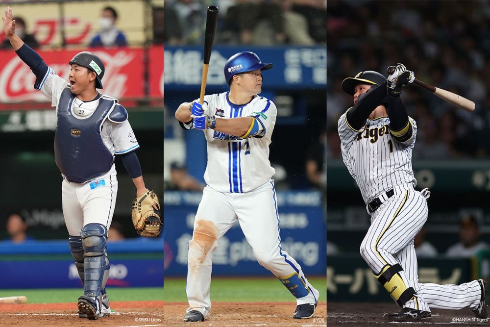 中日スポーツ発行　 プロ野球選手ガイドブック2014年~2023年 (10冊)その他