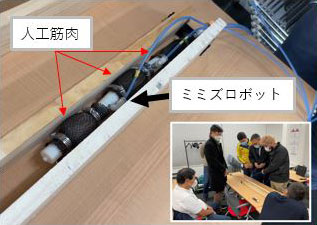C．人工筋肉で動くミミズ型ロボットを作って動かしてみよう！