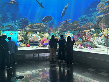 QUT Gardens Point Campus (SDGsパネル）