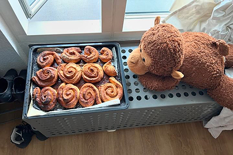 デンマーク人の友達お手製のシナモンロール